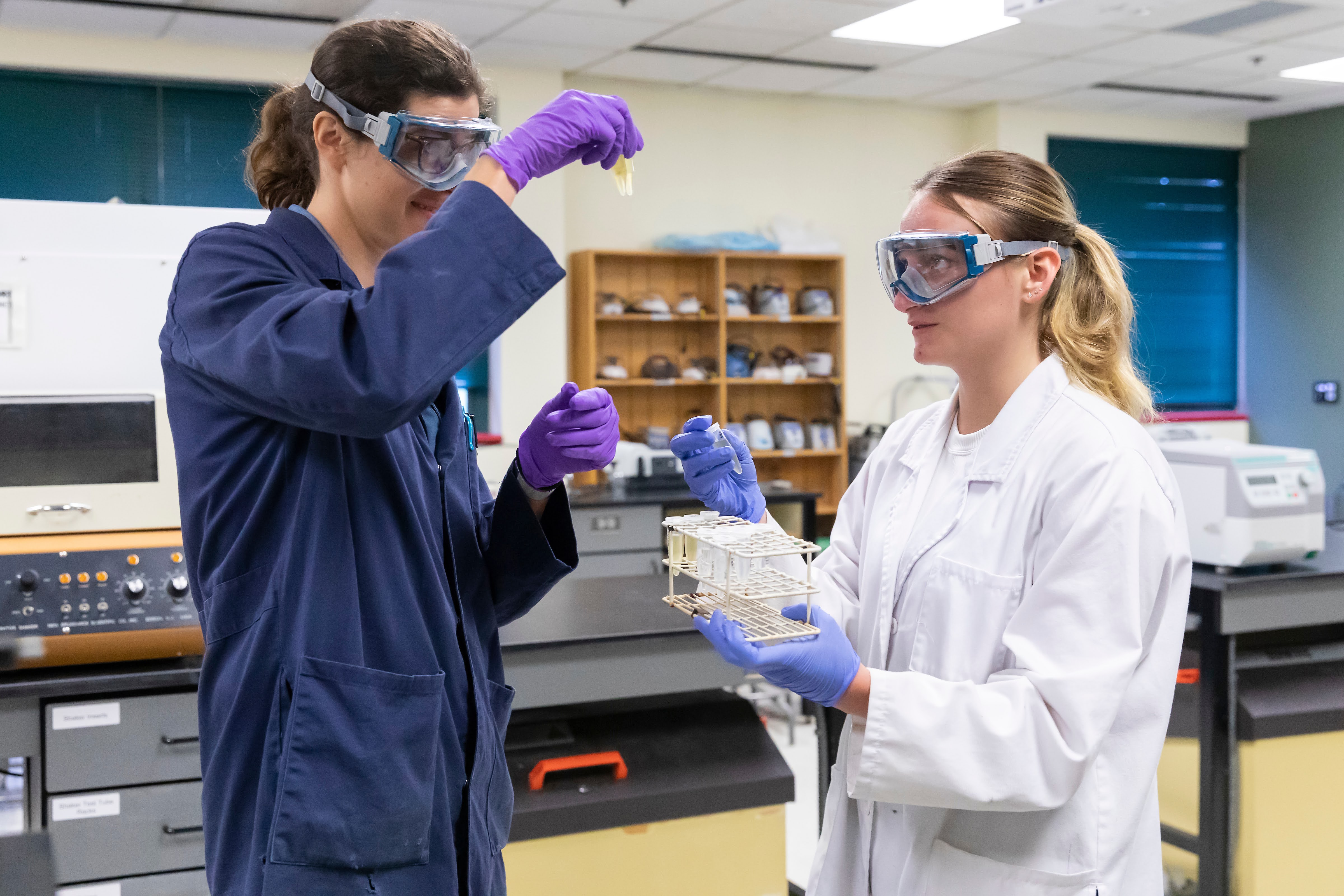 Lydia taking samples from phytoplankton cultures grown in the lab