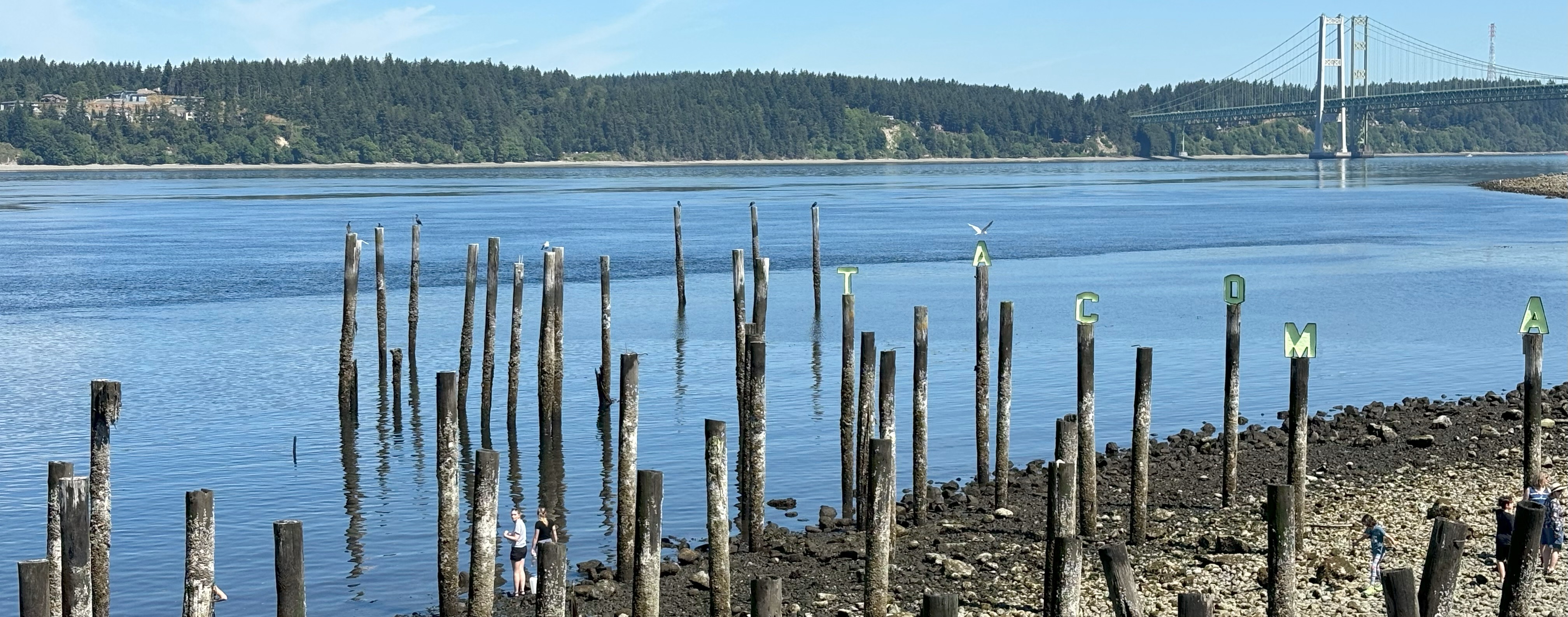 Ashley and Lydia Sampling at Titlow Beach, Tacoma, WA, in 2024